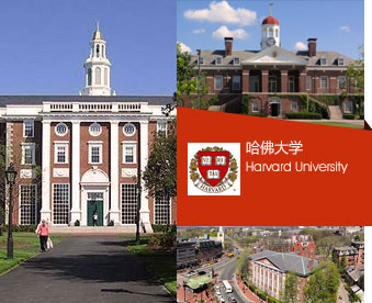 为啥美国哈佛在中国不招穷学生？